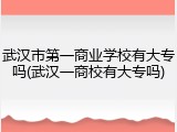 武汉市第一商业学校有大专吗(武汉一商校有大专吗)