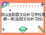 凉山金阳县文化补习学校是哪一家(金阳文化补习校)
