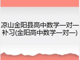 凉山金阳县高中数学一对一补习(金阳高中数学一对一)