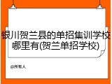 银川贺兰县的单招集训学校哪里有(贺兰单招学校)
