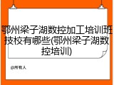 鄂州梁子湖数控加工培训班技校有哪些(鄂州梁子湖数控培训)