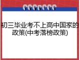 初三毕业考不上高中国家的政策(中考落榜政策)