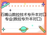 石嘴山数控技术专升本对口专业(数控专升本对口)