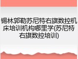 锡林郭勒苏尼特右旗数控机床培训机构哪里学(苏尼特右旗数控培训)