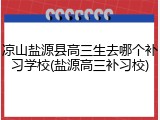 凉山盐源县高三生去哪个补习学校(盐源高三补习校)