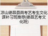 凉山德昌县高考艺考生文化课补习班推荐(德昌艺考文化班)