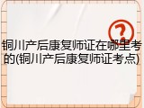 铜川产后康复师证在哪里考的(铜川产后康复师证考点)