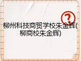 柳州科技商贸学校朱金辉(柳商校朱金辉)