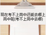 现在考不上高中还能去哪上高中呢(考不上高中去哪)