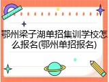 鄂州梁子湖单招集训学校怎么报名(鄂州单招报名)