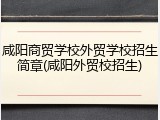 咸阳商贸学校外贸学校招生简章(咸阳外贸校招生)