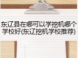 东辽县在哪可以学挖机哪个学校好(东辽挖机学校推荐)