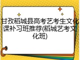 甘孜稻城县高考艺考生文化课补习班推荐(稻城艺考文化班)