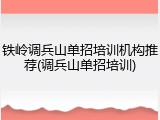 铁岭调兵山单招培训机构推荐(调兵山单招培训)