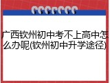 广西钦州初中考不上高中怎么办呢(钦州初中升学途径)
