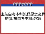 山东自考本科流程是怎么样的(山东自考本科步骤)
