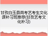 甘孜白玉县高考艺考生文化课补习班推荐(甘孜艺考文化补习)