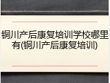 铜川产后康复培训学校哪里有(铜川产后康复培训)