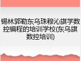 锡林郭勒东乌珠穆沁旗学数控编程的培训学校(东乌旗数控培训)