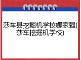 莎车县挖掘机学校哪家强(莎车挖掘机学校)