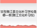 甘孜雅江县文化补习学校是哪一家(雅江文化补习校)