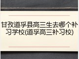 甘孜道孚县高三生去哪个补习学校(道孚高三补习校)
