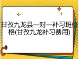 甘孜九龙县一对一补习班价格(甘孜九龙补习费用)