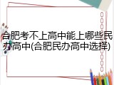 合肥考不上高中能上哪些民办高中(合肥民办高中选择)