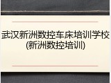 武汉新洲数控车床培训学校(新洲数控培训)