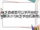 林芝县哪里可以学开挖机?学费多少?(林芝学挖机费用)