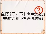 合肥孩子考不上高中怎么办安徽(合肥中考落榜对策)