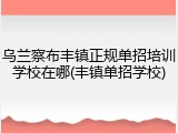 乌兰察布丰镇正规单招培训学校在哪(丰镇单招学校)