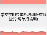崇左宁明县单招培训班有哪些(宁明单招培训)