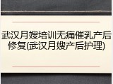武汉月嫂培训无痛催乳产后修复(武汉月嫂产后护理)