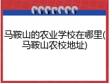 马鞍山的农业学校在哪里(马鞍山农校地址)
