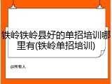 铁岭铁岭县好的单招培训哪里有(铁岭单招培训)
