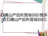 石嘴山产后恢复培训价格多少(石嘴山产后恢复培训价)