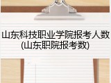 山东科技职业学院报考人数(山东职院报考数)