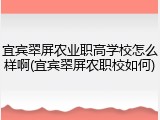 宜宾翠屏农业职高学校怎么样啊(宜宾翠屏农职校如何)