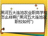 黑河五大连池农业职高学校怎么样啊("黑河五大连池农职校如何")