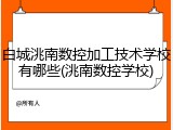 白城洮南数控加工技术学校有哪些(洮南数控学校)
