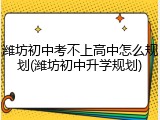 潍坊初中考不上高中怎么规划(潍坊初中升学规划)