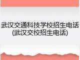 武汉交通科技学校招生电话(武汉交校招生电话)