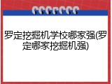 罗定挖掘机学校哪家强(罗定哪家挖掘机强)