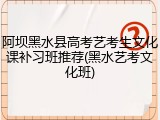 阿坝黑水县高考艺考生文化课补习班推荐(黑水艺考文化班)
