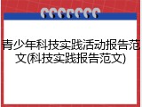 青少年科技实践活动报告范文(科技实践报告范文)