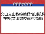 文山文山数控编程培训机构在哪(文山数控编程培训)
