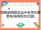 邯郸曲周县农业中专学校哪里有(曲周农校位置)