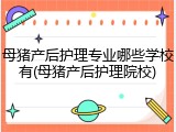 母猪产后护理专业哪些学校有(母猪产后护理院校)