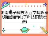 湖南电子科技职业学院收费明细(湖南电子科技职院收费)